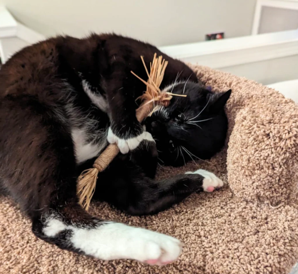 Review by Jocelyn S.