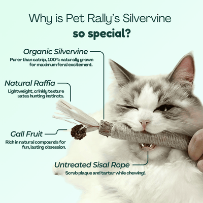 Organic Silvervine & Gall Dental Sticks