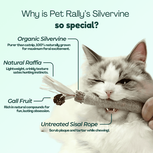Organic Silvervine & Gall Dental Sticks