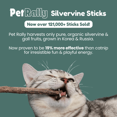 Organic Silvervine & Gall Dental Sticks