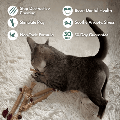 Organic Silvervine & Gall Dental Sticks
