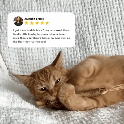 Organic Silvervine & Gall Dental Sticks