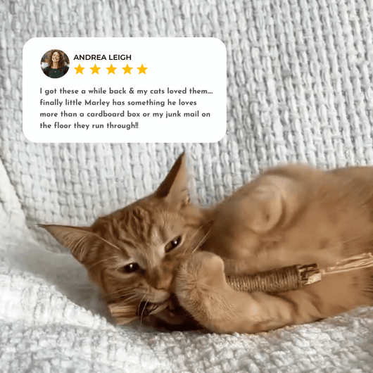 Organic Silvervine & Gall Dental Sticks