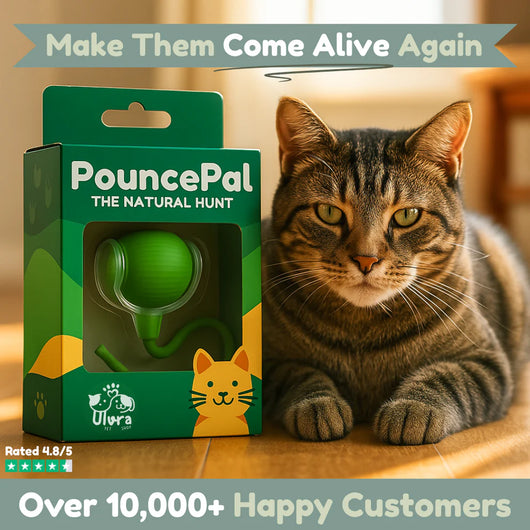 PouncePal™ 2.0