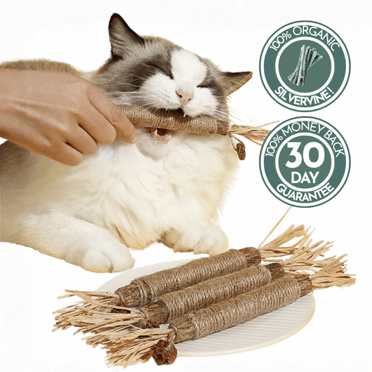 Organic Silvervine & Gall Dental Sticks